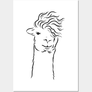 lama head Posters and Art